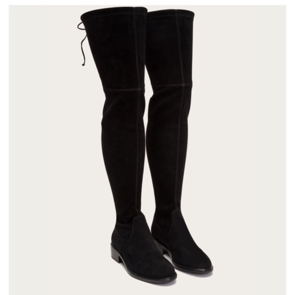 taylor stretch thigh high